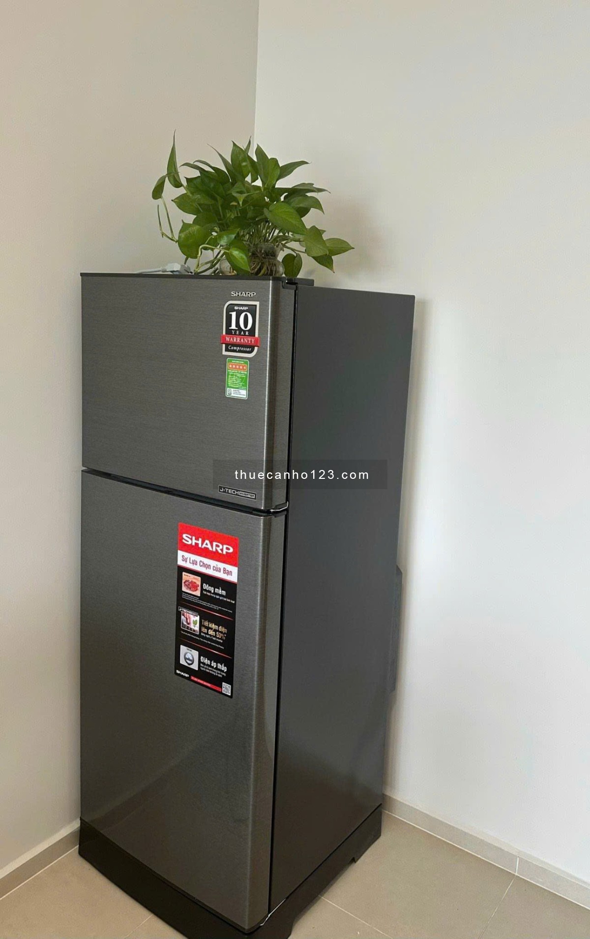 CHO THUÊ CĂN FULL NỘI THẤT ĐẸP CÓ SÂN VƯỜN RỘNG RÃI - LẦU THẤP - HƯỚNG ĐÔNG - NỘI THẤT NHƯ HÌNH - Ảnh 9