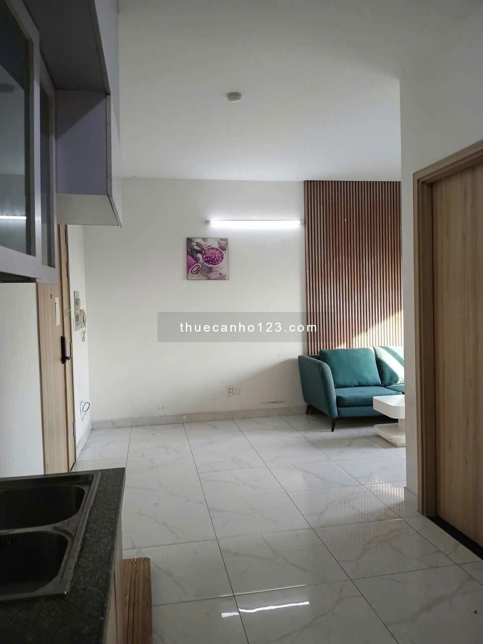 Chung cư Ruby, Nguyễn Sỹ Sách, TB: 3p ngủ, 87m2, Full NT, 12 triệu - Ảnh 5