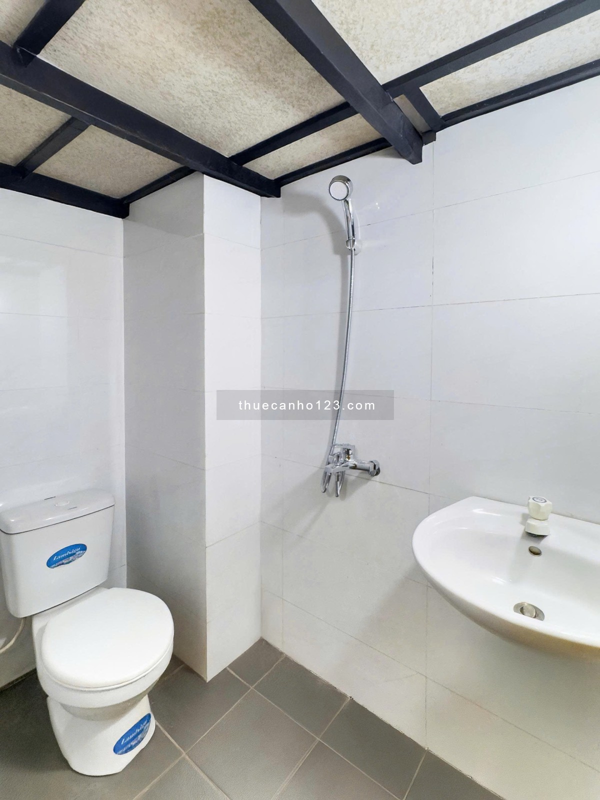 căn hộ duplex full nội thất chỉ cần dọn vào ở ngay - Ảnh 2