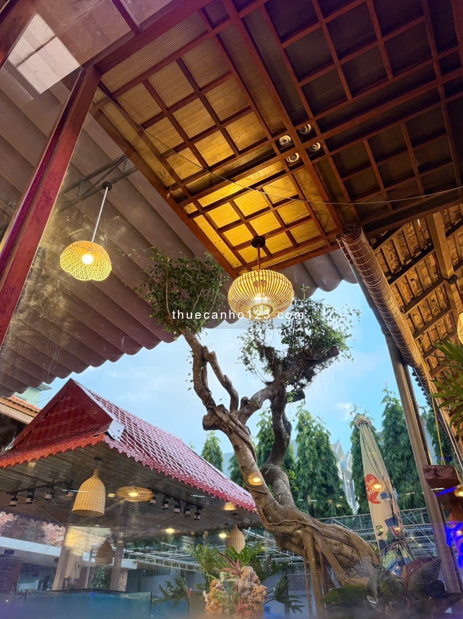 CHO THUÊ NHÀ HÀNG SÂN VƯỜN TẠI TAM THẮNG - TP . HCM - Ảnh 9