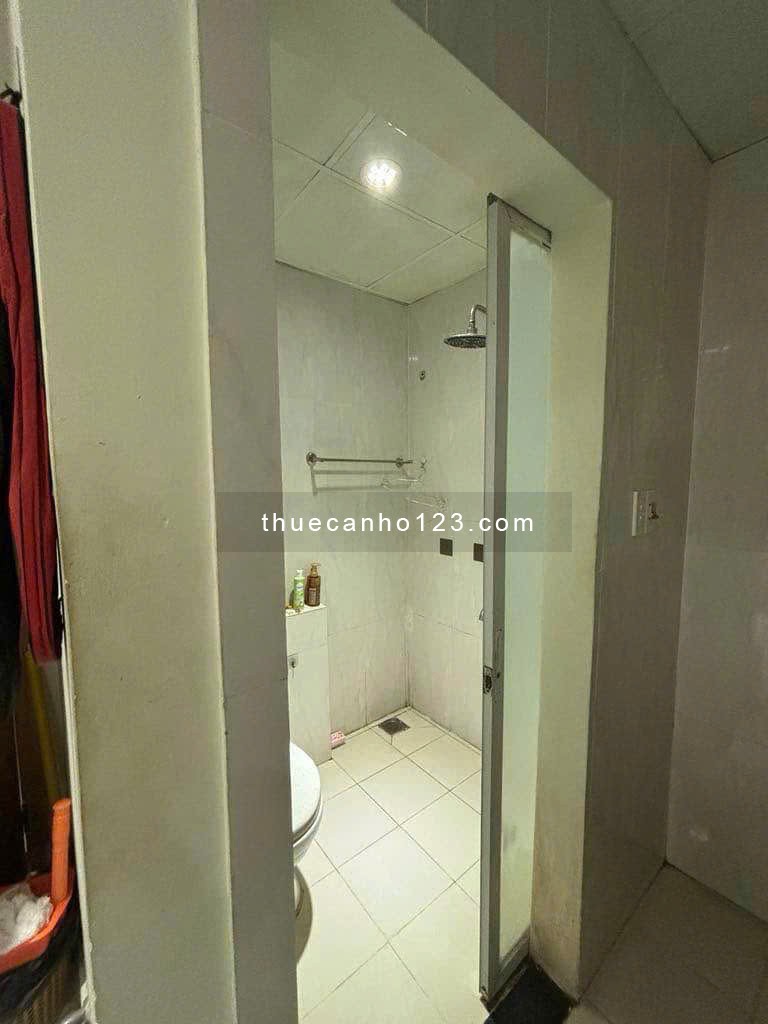 CHung cư SG Tower, Thoại Ngọc Hầu, TP: 2p ngủ, full NT, 60m2, 8tr - Ảnh 4