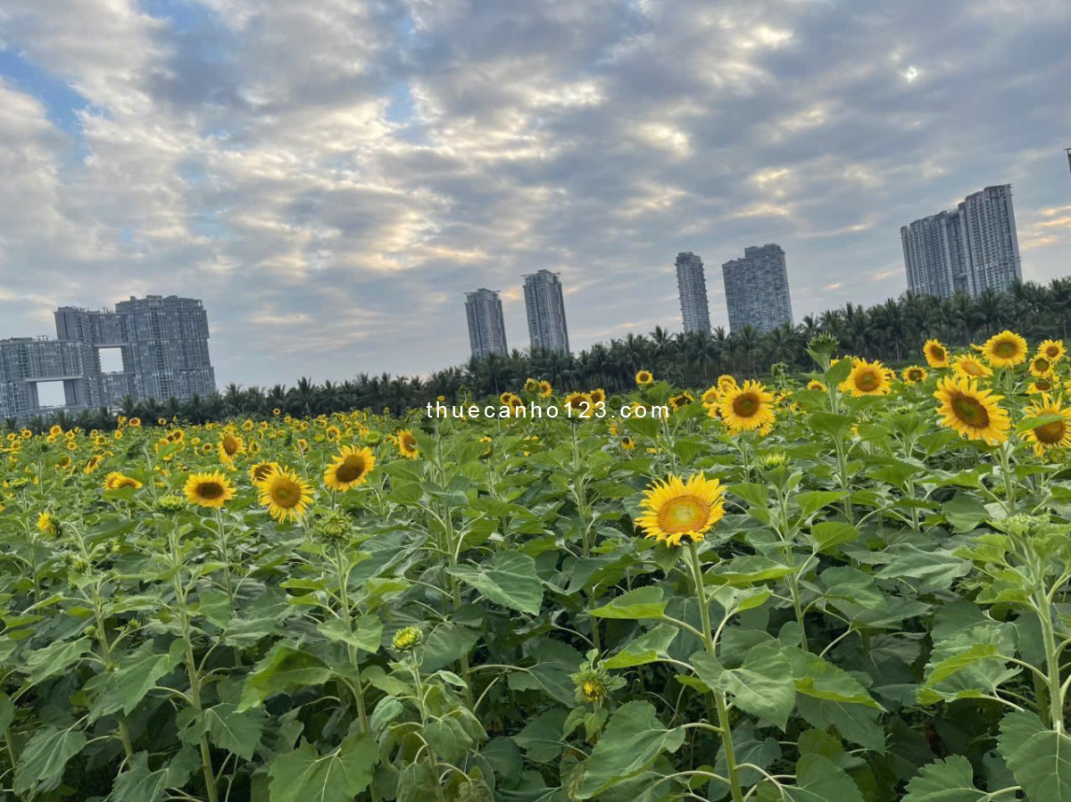 Cho thuê Căn hộ chung cư 2 PN, full nội thất tại Trust City, Văn Giang Hưng Yên - Ảnh 9