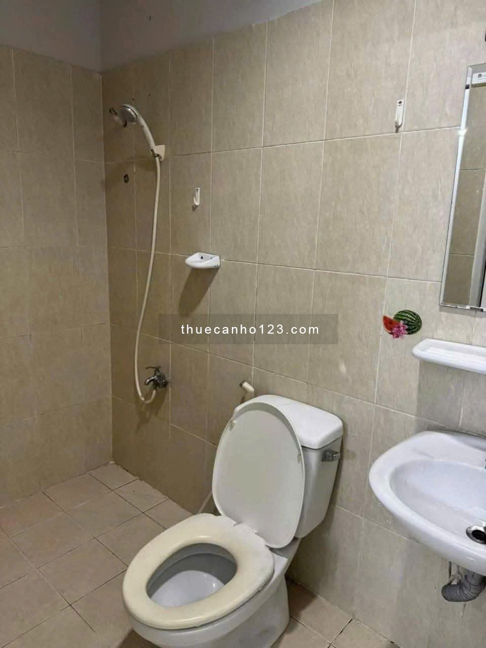 Chung cư Phú Thạnh, Nguyễn Sơn, TP: 2PN, 65m2, nhà trống, 7,5tr - Ảnh 6