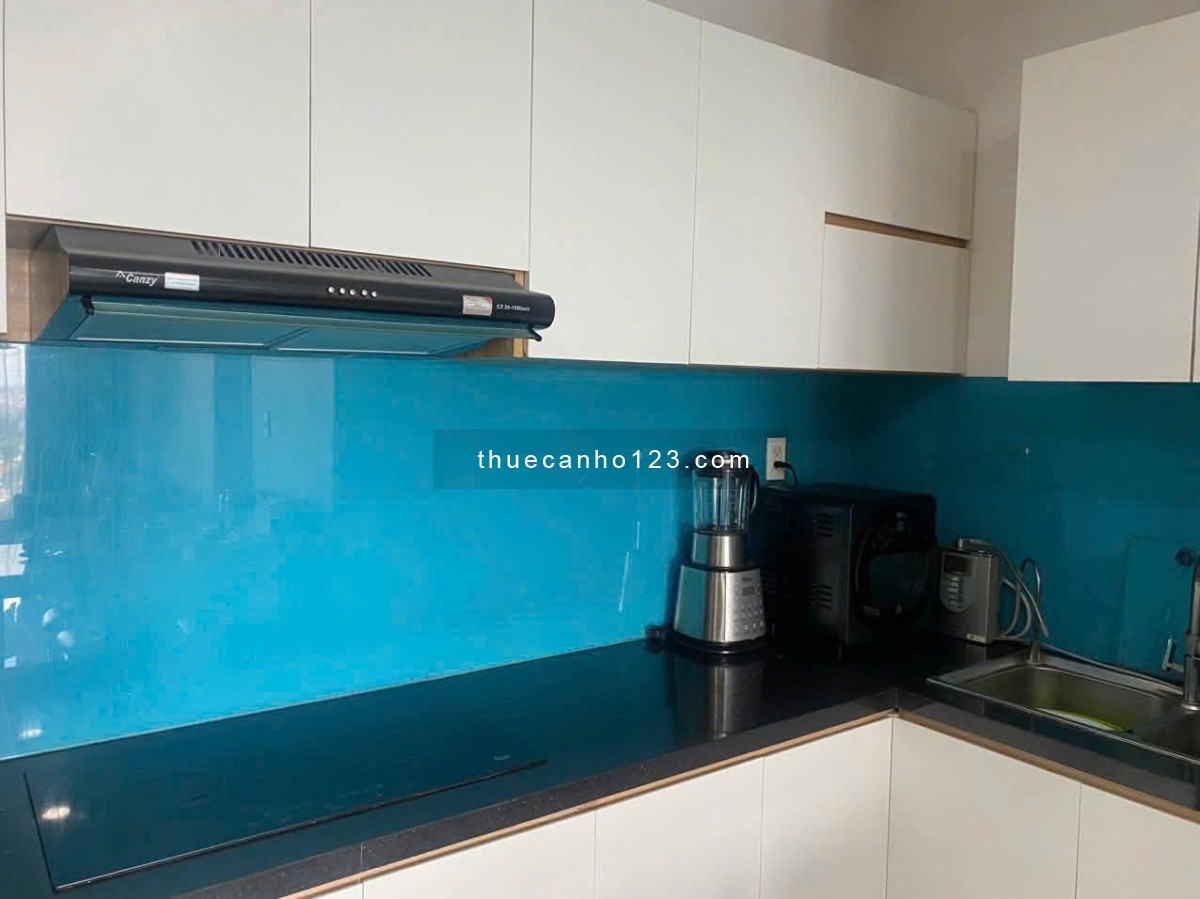 Central Plaza- 91 Phạm Văn Hai căn 55m2, 1p ngủ, giá 10tr5/th - Ảnh 4