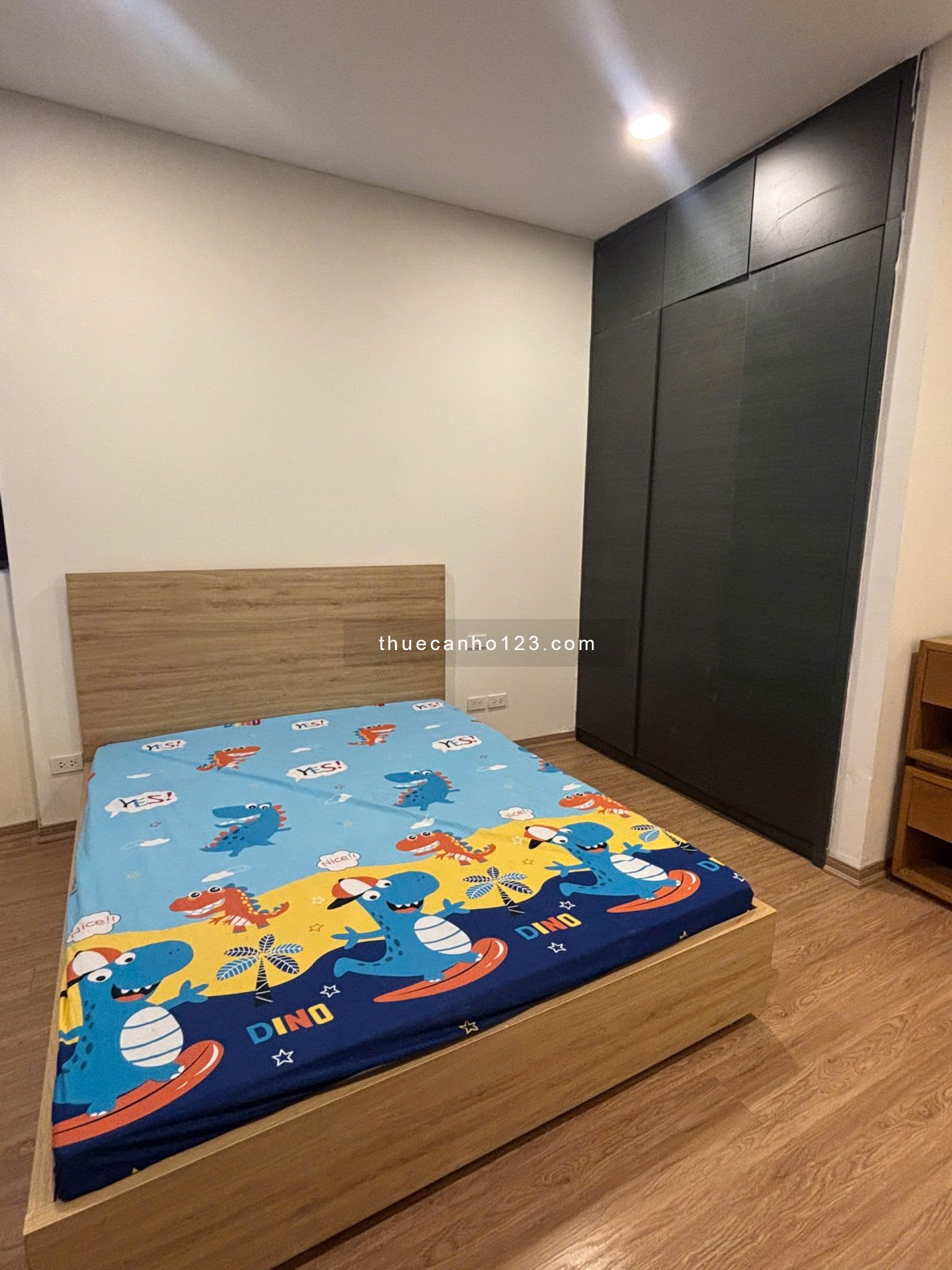 CHÍNH CHỦ - Cho thuê căn hộ 171m2 tại Dolphin Plaza – Tháp 3 - Ảnh 11