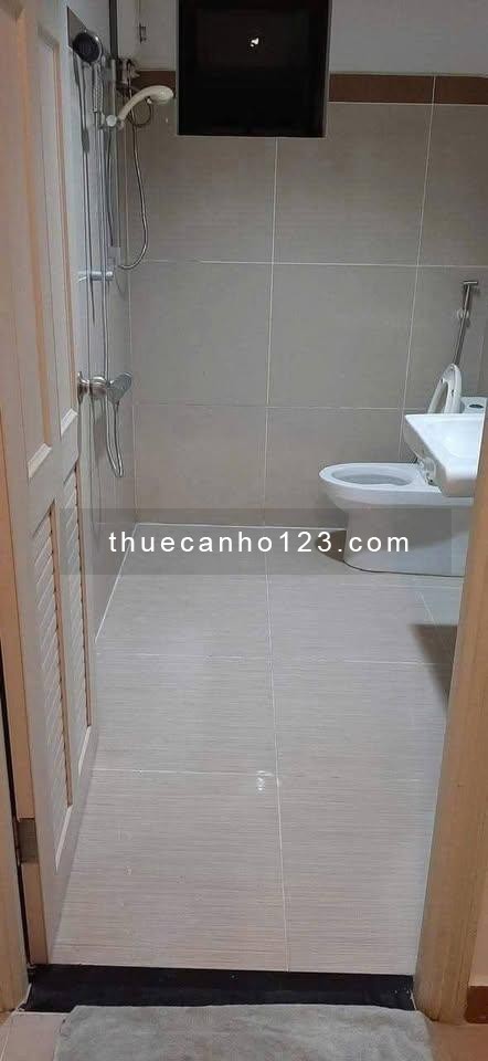 The Useful Lạc Long Quân-P.Tân Hòa (P9.TB cũ) căn 2p ngủ giá 9tr/tháng - Ảnh 2