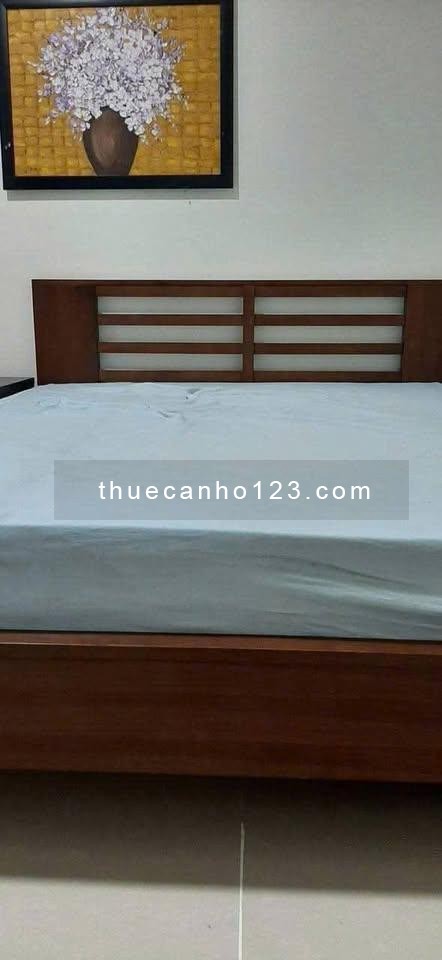The Useful Lạc Long Quân-P.Tân Hòa (P9.TB cũ) căn 2p ngủ giá 9tr/tháng - Ảnh 5