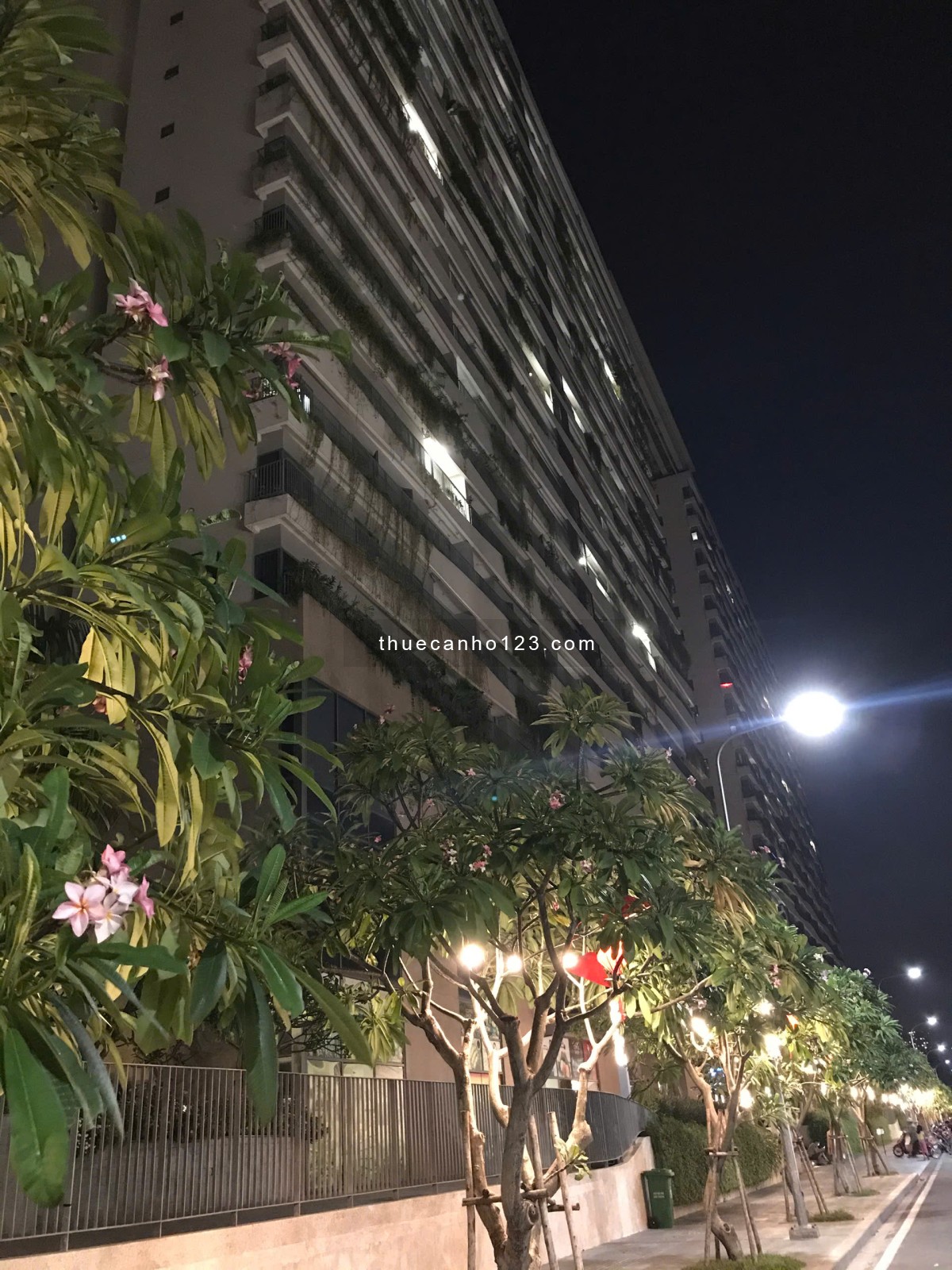 Cần cho thuê căn hộ Diamond Lotus Riverside đường Lê Quang Kim, Q8. - Ảnh 4