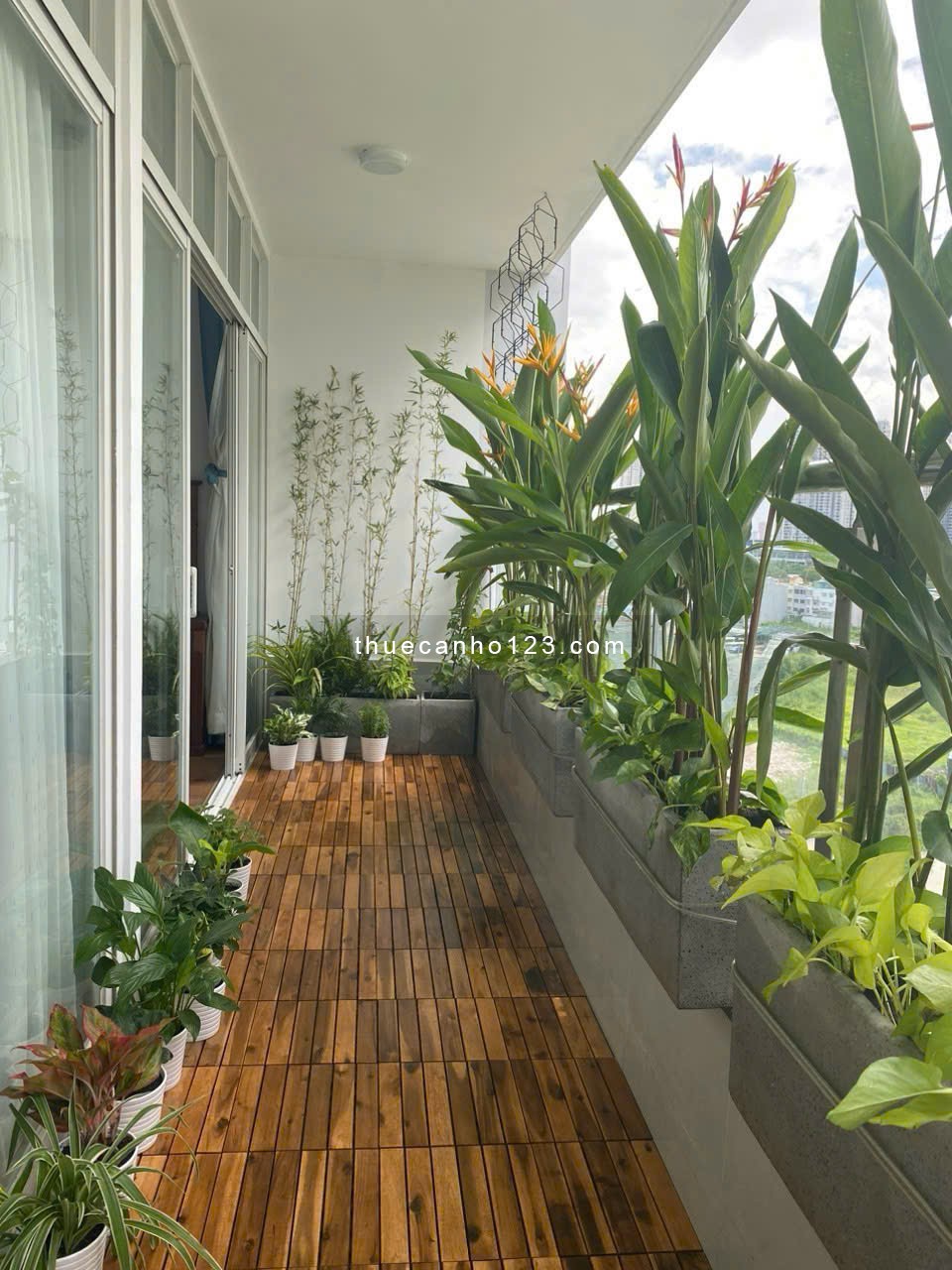Thuê Petroland Số 65 Mai Chí Thọ Q2 ( 150m, 3pn giá 18tr/th) ban công lớn siêu thoáng - Ảnh 1