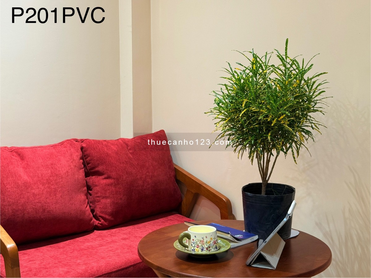Cho thuê căn hộ studio khu ẩm thực phan xích long - Ảnh 12
