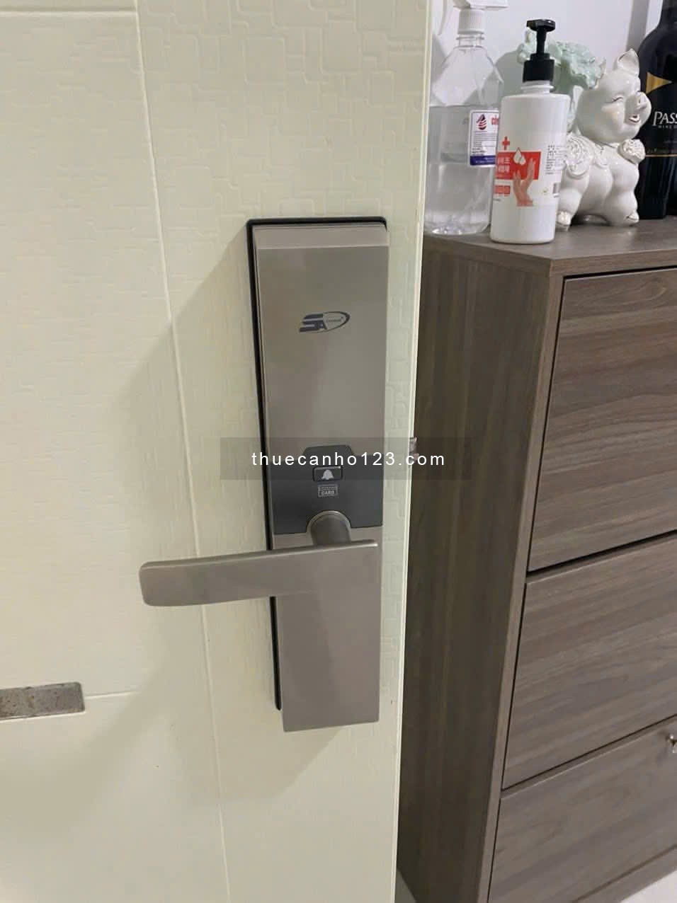 Cho thuê chung cư Ruby Garden-02 Nguyễn Sỹ Sách, Tân Sơn 2PN full nội thất, giá 9tr/tháng - Ảnh 4