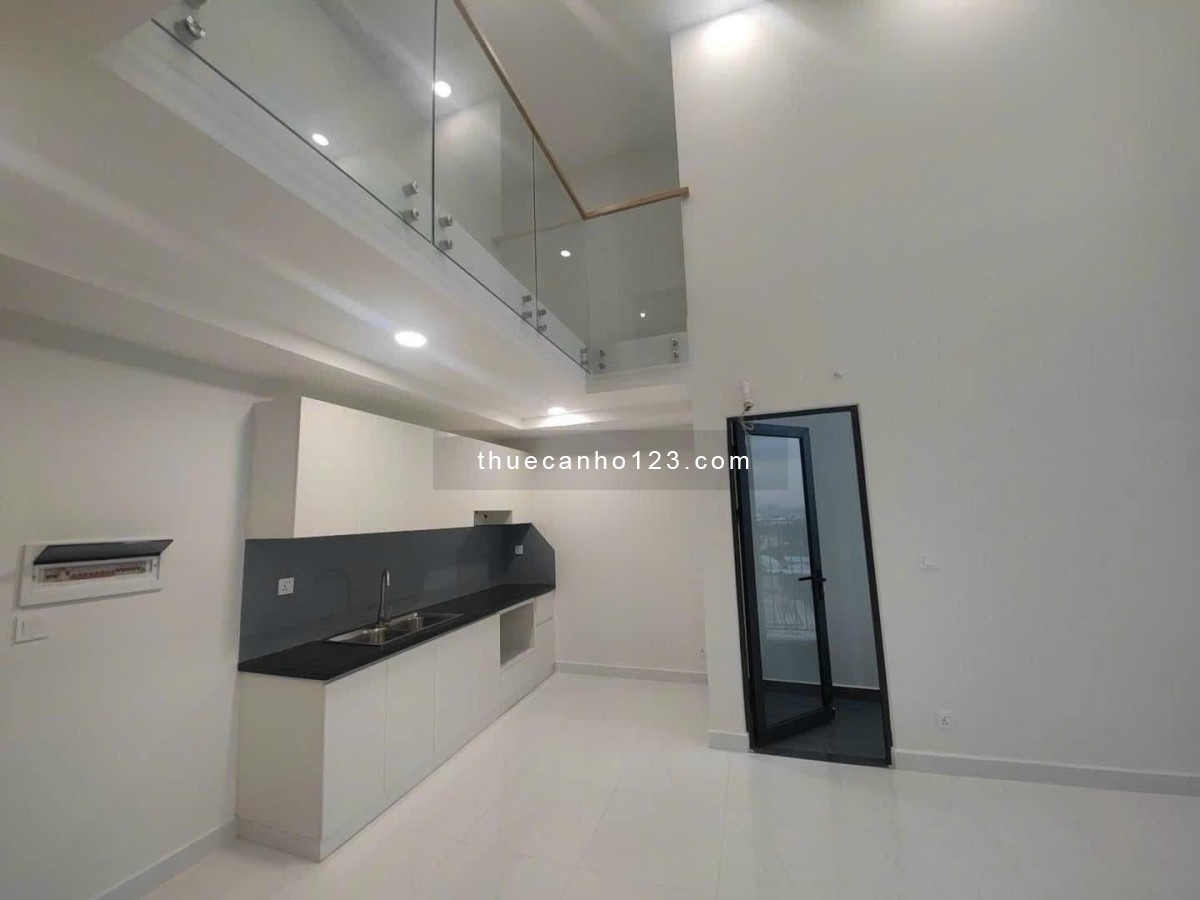 Căn duplex 3pn pegasuite 2 giá chỉ 14tr siêu đẹp - Ảnh 3