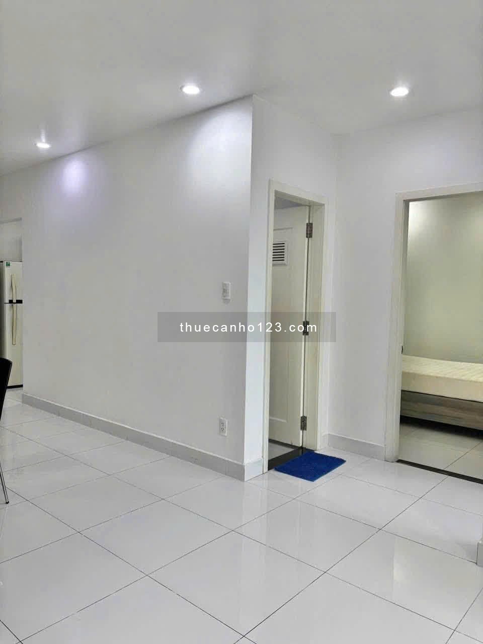 Cho thuê chung cư cao cấp Harmona- Trương Công Định, Bảy Hiền 2PN đầy đủ nội thất giá 12tr5/tháng - Ảnh 5