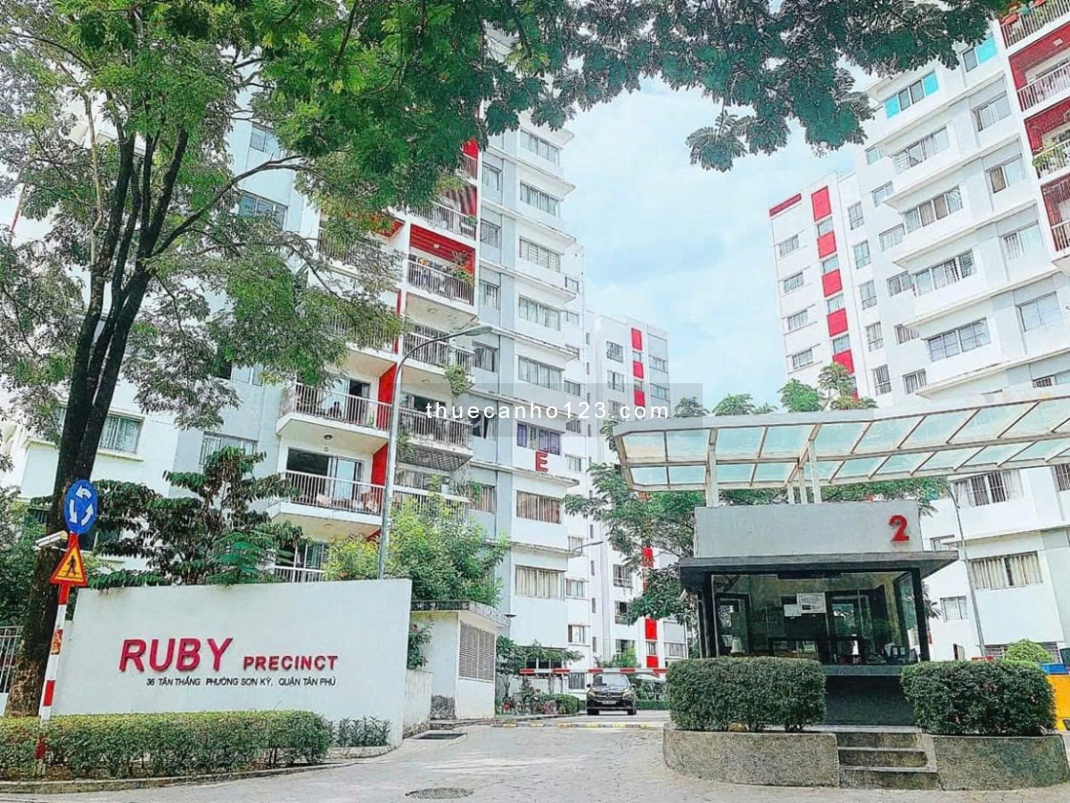 Căn hộ 2 phòng ngủ 2WC Ruby Celadon City full nội thất đẹp có giá 11tr/tháng - Ảnh 1