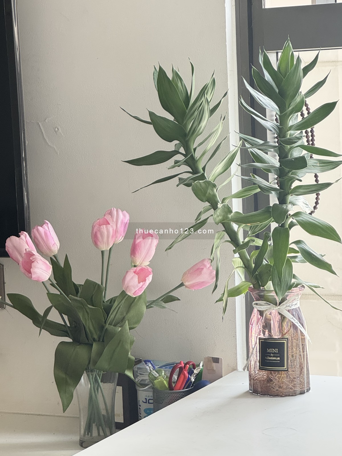 Sale 50% PASS - nhượng lại phòng Q4 - Ảnh 1