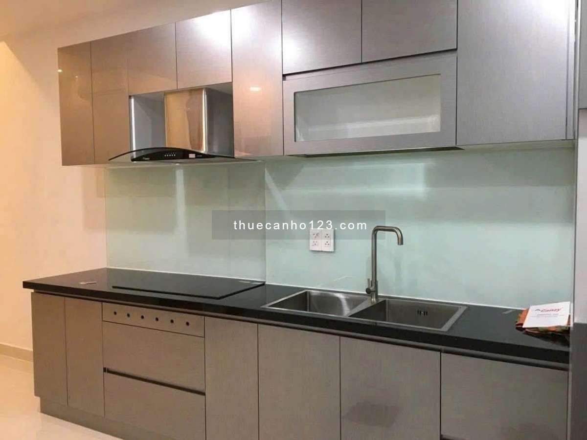 Cho thuê căn hộ IDICO Tân Phú 2PN full nội thất mới giá 11 tr/th - Ảnh 3