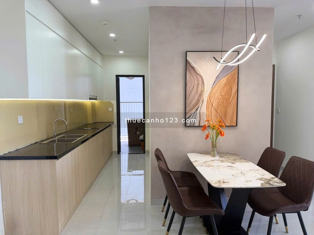 Chung cư Splendor, Nguyễn Văn Dung, GV: 85m2, 2p ngủ, full NT, 13tr/th - Ảnh 6
