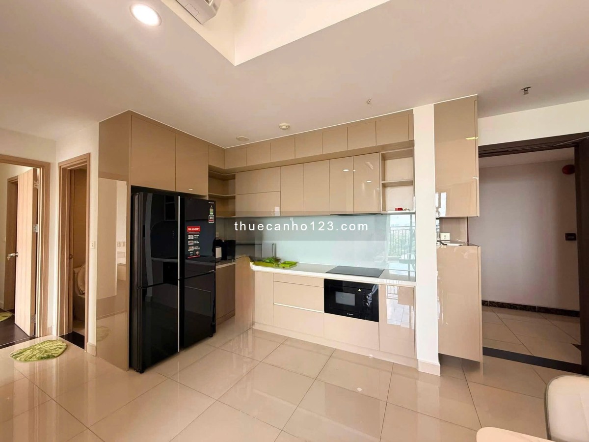 Cho thuê căn hộ Phúc Yên-Tân Bình 3PN 120m2 full nội thất cao cấp giá 13 tr/th - Ảnh 3