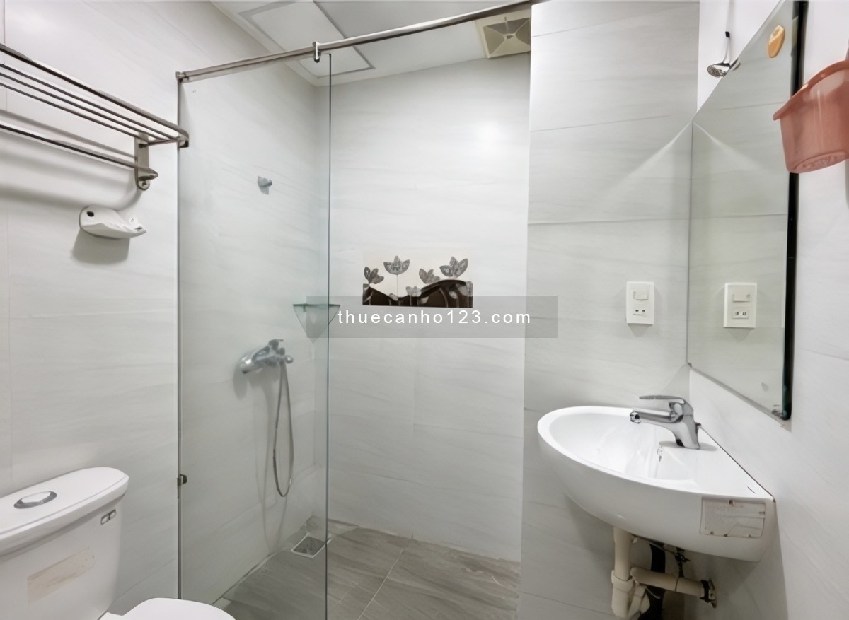 CHO THUÊ CĂN HỘ MINI KHU VỰC BẠCH ĐẰNG, SÂN BAY TÂN SƠN NHẤT - Ảnh 5