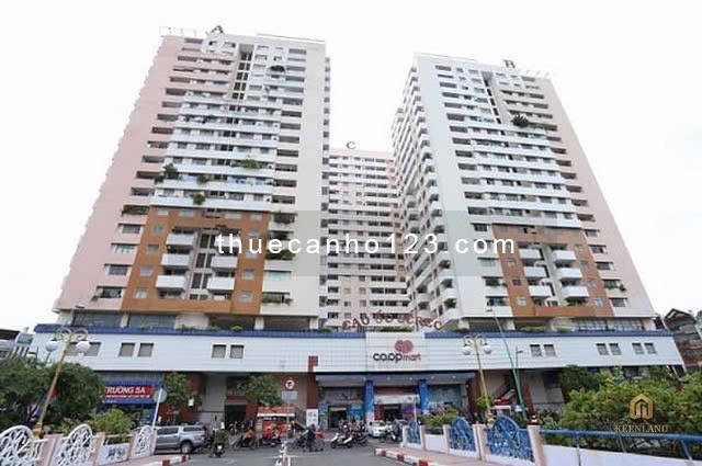 Cho thuê căn hộ cao cấp Screc Tower - 974A Trường Sa, Phường 12, Q. 3, Tp. HCM. - Ảnh 1