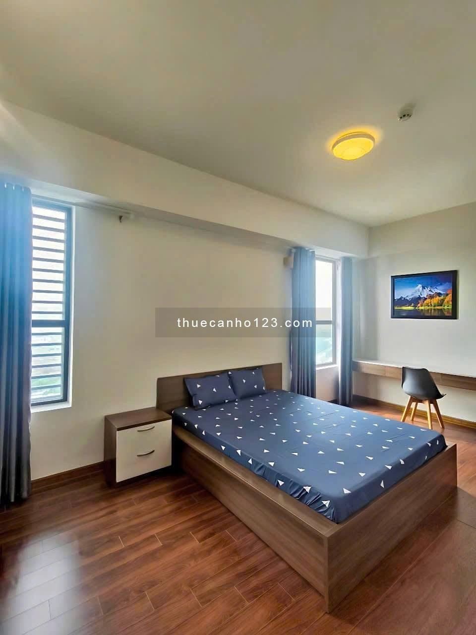 Chung cư Lạc Long Quân- Quận 11, 3PN Full nội thất căn góc giá 13 triệu/th - Ảnh 5