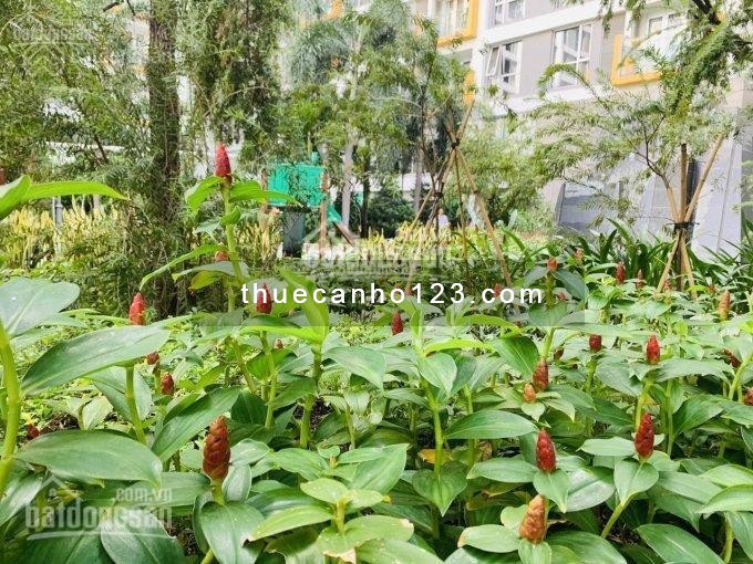 Cho thuê căn hộ chung cư Wilton Tower, 3 phòng ngủ, nội thất đầy đủ giá 23 triệu/tháng - Ảnh 9
