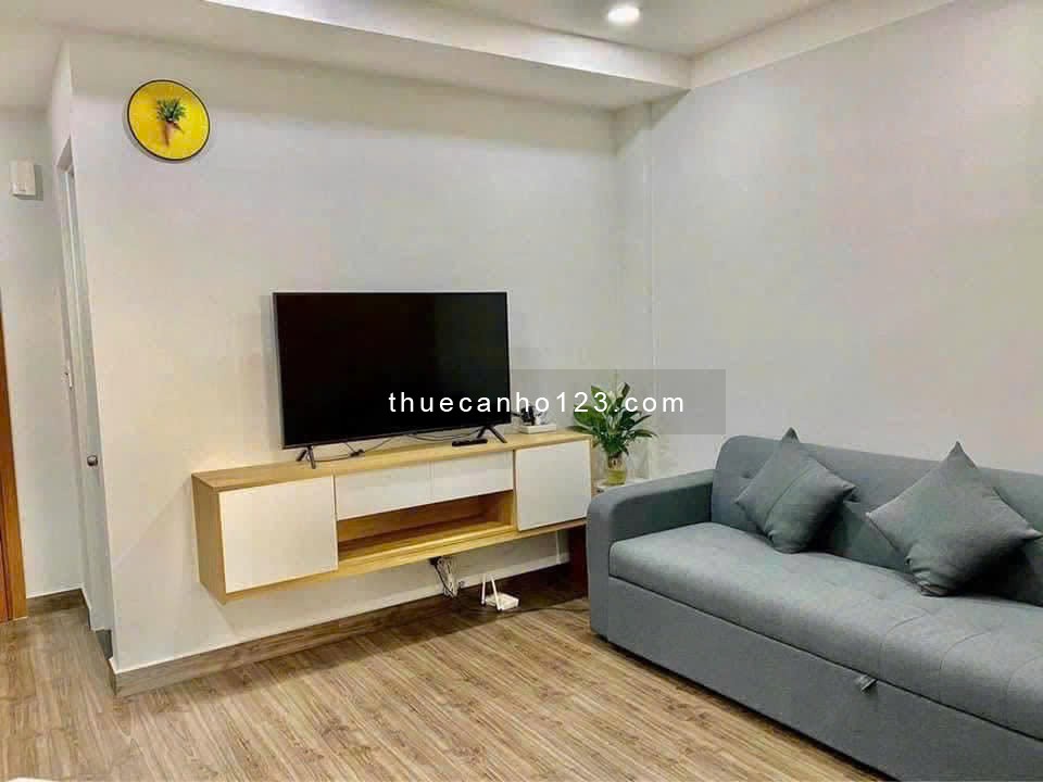 Cho thuê chung cư Ruby Garden, Nguyễn Sỹ Sách - 1PN, 53m2 giá thuê 7tr5/tháng - Ảnh 3