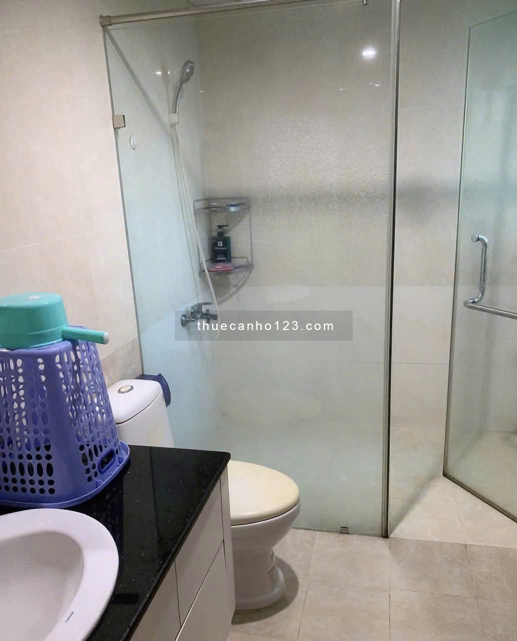 Chung cư Screc, Trường Sa, Q3: 2p ngủ, 68m2, full NT, 12triệu - Ảnh 4