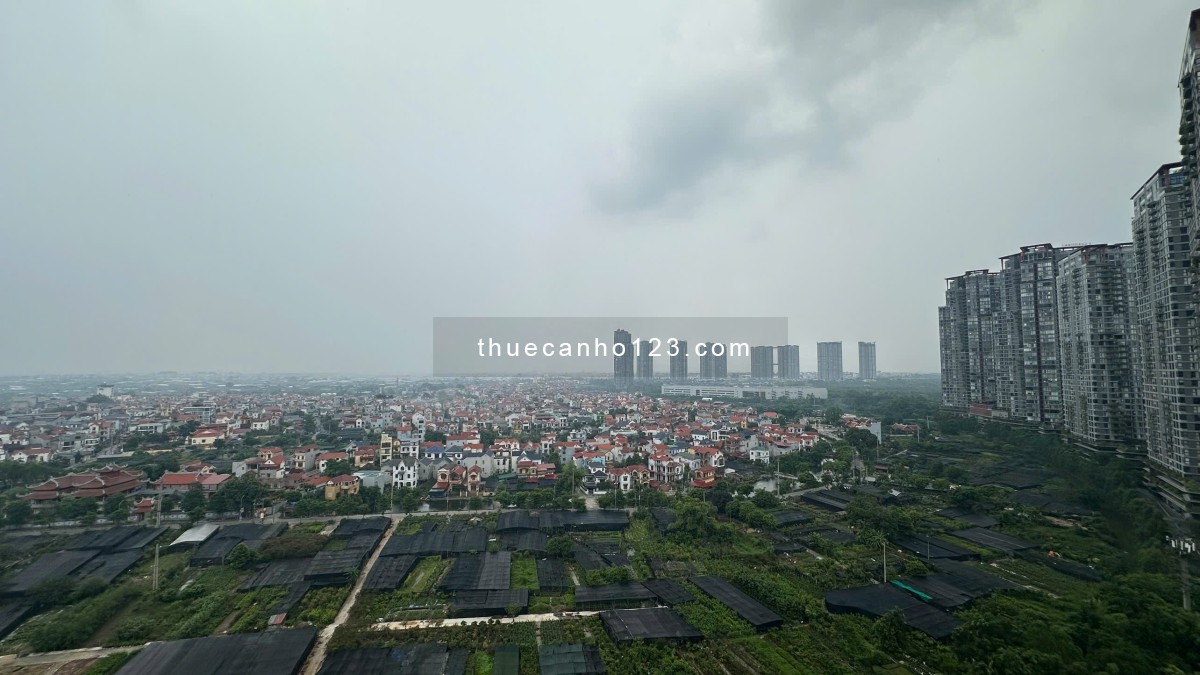 Cho thuê căn hộ góc Ecopark, Westbay B - Ảnh 7