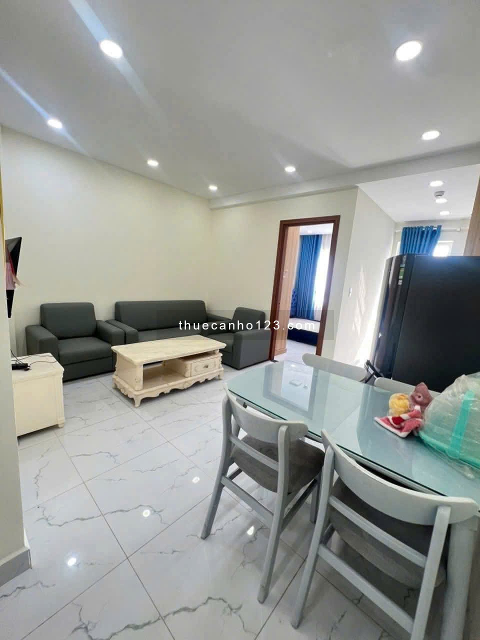 Chung cư Ruby cho thuê căn hộ 55m2, 1PN, Full NT, giá 7,6 triệu/tháng - Ảnh 2