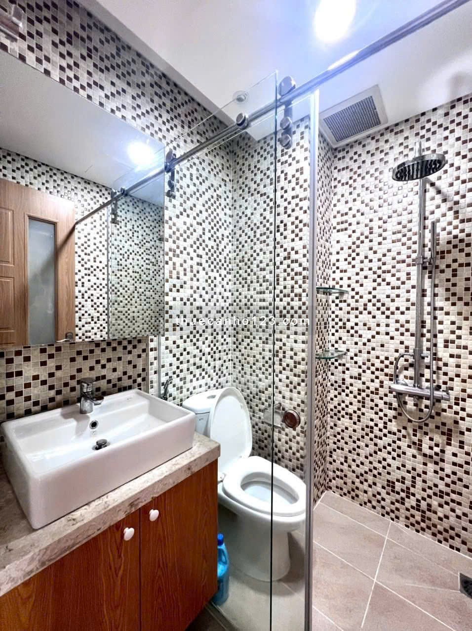 Cho thuê C.C cao cấp Mỹ Vinh, Quận 3 - 110m2, 3PN, Full NT giá thuê 24tr/th - Ảnh 7