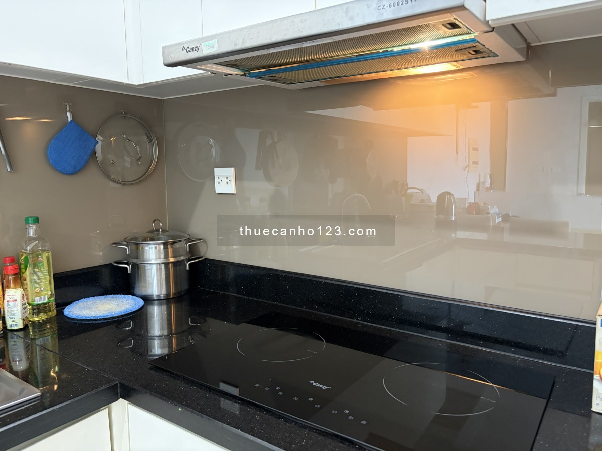 Chính chủ cho căn hộ Diamond Lotus Riverside 2PN đầy đủ nội thất, có thể deal giá - Ảnh 7