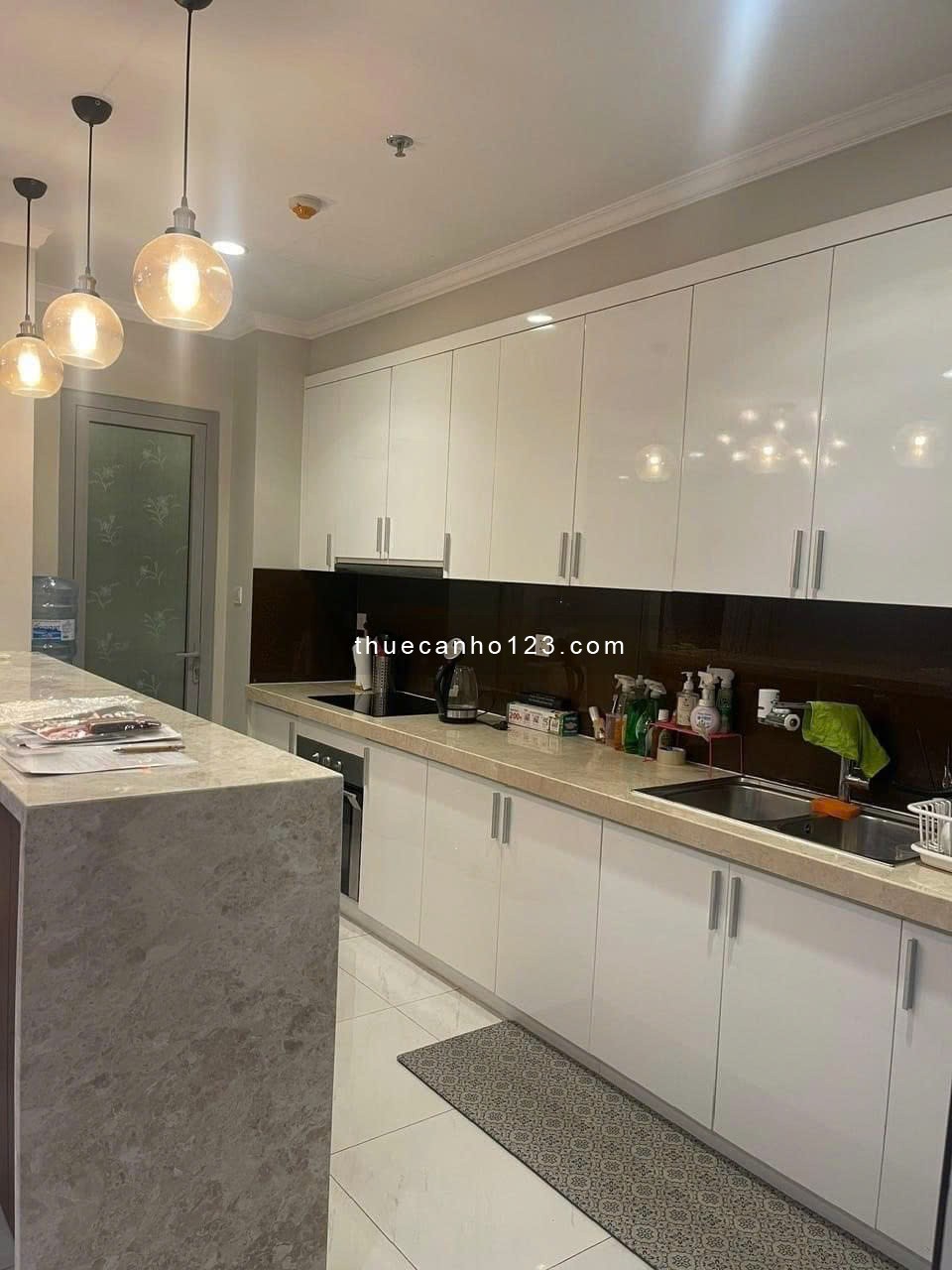 Cho thuê căn hộ cao cấp Mỹ Vinh 3PN rộng 105m2, full nt, giá 23 triệu/tháng - Ảnh 2