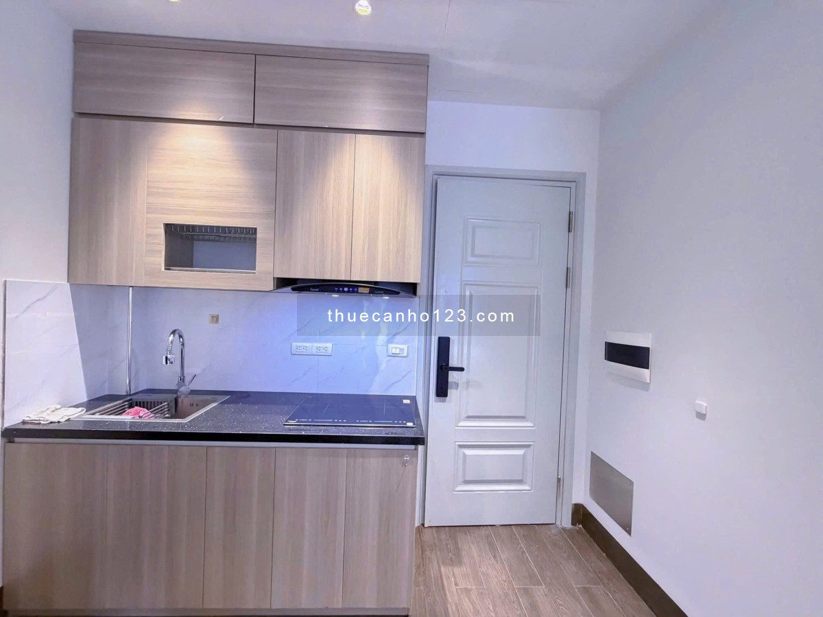 Cho Thuê Căn Hộ Mini 45m2 Ngay Âu Cơ - Đầm Sen Tân Phú tiện đi các Quận - Ảnh 5