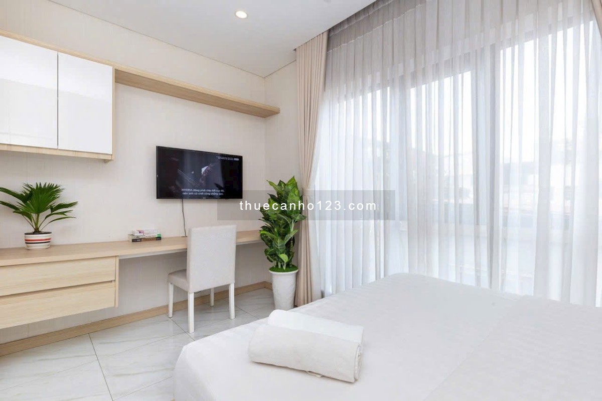 CHO THUÊ CĂN HỘ FULL NỘI THẤT TIẾN ANH QUẬN 1 - Ảnh 5