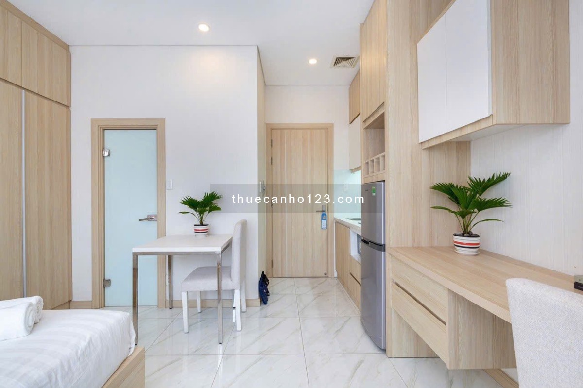 CHO THUÊ CĂN HỘ FULL NỘI THẤT TIẾN ANH QUẬN 1 - Ảnh 8