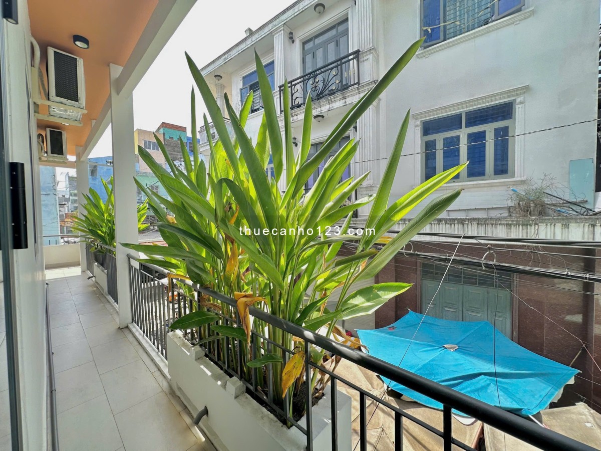 BẠCH ĐẰNG | 6TR6 — CĂN NÀY KHÔNG ĐÙA - Ảnh 2