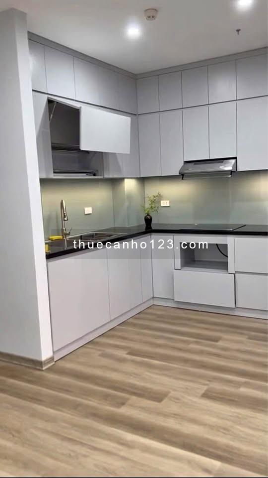 Cho thuê chung cư Sky Center, căn 2PN, DT 65m2, 2PN2WC giá 13,5 triệu/tháng - Ảnh 1