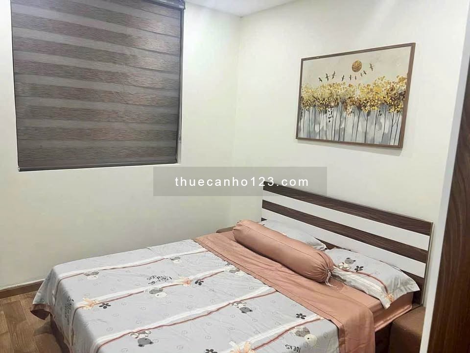 Cho thuê chung cư Carillon 1, Trần Văn Danh- Căn 2PN, Full Nt giá thuê 14tr/tháng - Ảnh 2