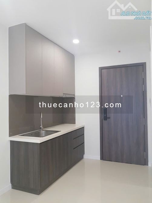 Cho thuê căn hộ Lavida Plus Q7 DT 38m2, giá 9 triệu (có rèm + máy lạnh ) LH 0906611859 - Ảnh 4