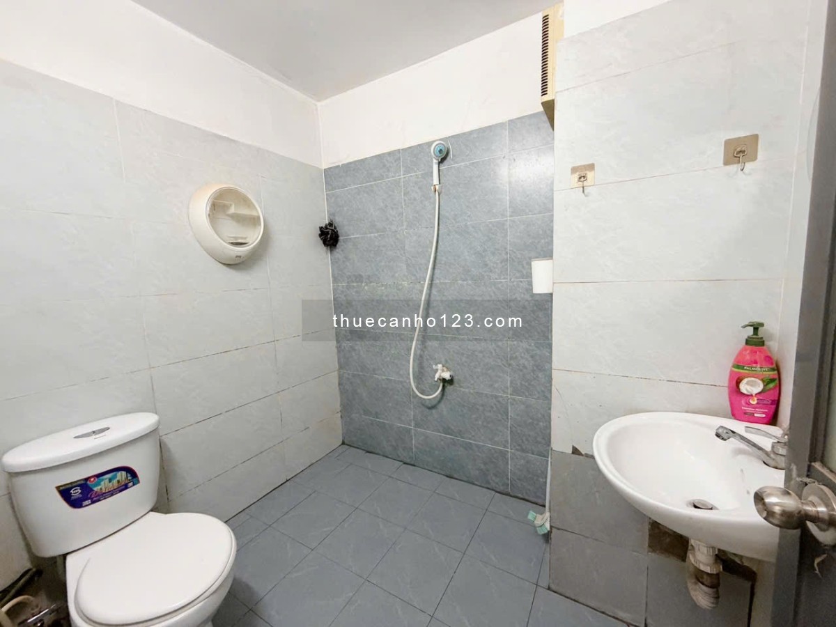 CĂN HỘ DUPLEX Ở 3-4 NGƯỜI GẦN ETOWN CỘNG HOÀ - CẦU VƯỢT HOÀNG HOA THÁM - NHÀ GA T3 TÂN SƠN NHẤT - Ảnh 5