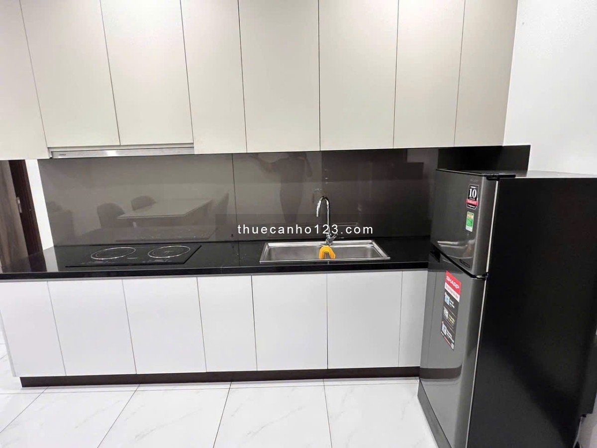 Chung cư Picity. DT 60m2 2PN. Full NT. 9Tr - Ảnh 2