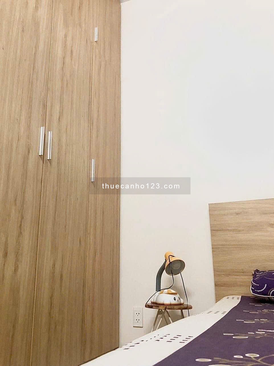 Chung cư 8X Plus Trường Chinh- căn hộ 2p ngủ giá 7,5tr, ở liền. - Ảnh 4