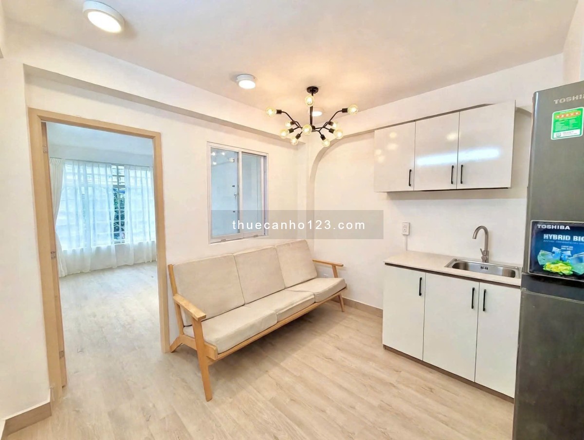 Cho thuê căn hộ Trần Khắc Chân DT 40m2, 1PN rộng đẹp, gần chợ Tân Định, cho nuôi pet - Ảnh 2