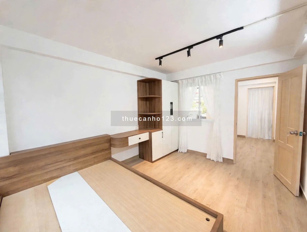 Cho thuê căn hộ Trần Khắc Chân DT 40m2, 1PN rộng đẹp, gần chợ Tân Định, cho nuôi pet - Ảnh 4
