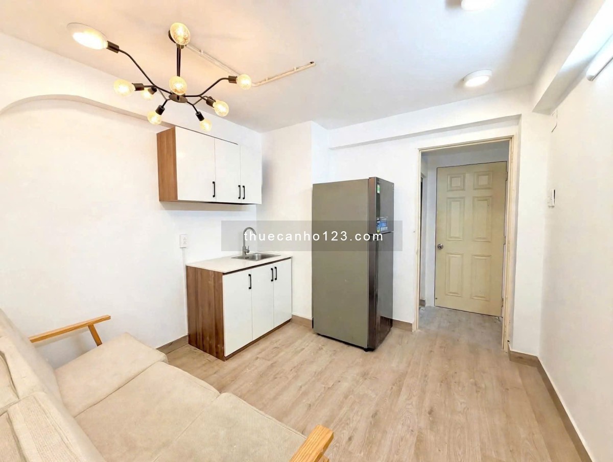 Cho thuê căn hộ Trần Khắc Chân DT 40m2, 1PN rộng đẹp, gần chợ Tân Định, cho nuôi pet - Ảnh 6