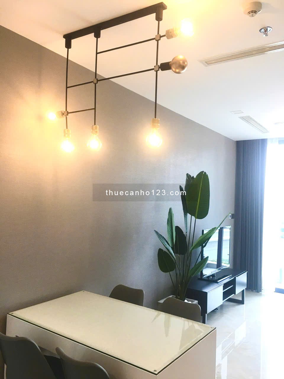 Cho thuê căn hộ 1 PN tại VinHomes Golden River Bason Q1 - Ảnh 2