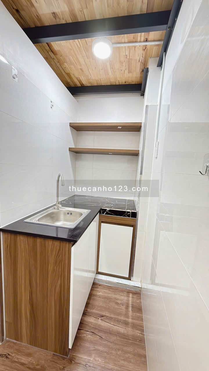 Cho thuê Căn hộ sân vườn riêng gân chợ Bà Chiểu Bình Thạnh - Ảnh 6