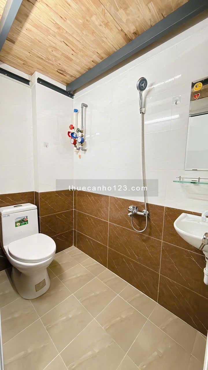 Cho thuê Căn hộ sân vườn riêng gân chợ Bà Chiểu Bình Thạnh - Ảnh 7