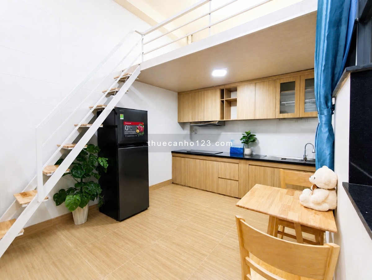 Duplex Nguyễn Hồng Đào Tân Bình - CHO NUÔI PET, CÓ NHẬN XE ĐIỆN, GẦN ĐẠI HỌC VĂN HIẾN - Ảnh 3